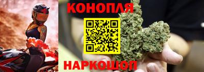 каннабис Кингисепп